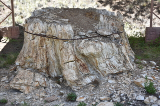 Filename=DSC_5811.JPG
Filesize=23999KiB
Dimensions=7360x4912
Date added=Sep 19, 2019 DSC_5811.JPG