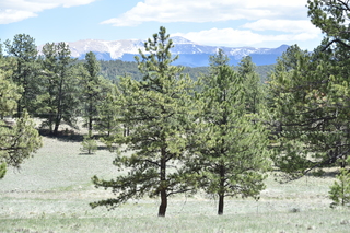 Filename=DSC_5813.JPG
Filesize=23972KiB
Dimensions=7360x4912
Date added=Sep 19, 2019 DSC_5813.JPG