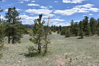 Filename=DSC_5817.JPG
Filesize=24958KiB
Dimensions=7360x4912
Date added=Sep 19, 2019 DSC_5817.JPG