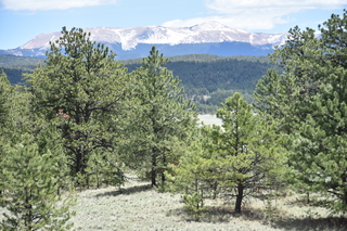 Filename=DSC_5820.JPG
Filesize=22532KiB
Dimensions=7360x4912
Date added=Sep 19, 2019 DSC_5820.JPG