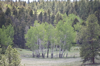 Filename=DSC_5822.JPG
Filesize=19959KiB
Dimensions=7360x4912
Date added=Sep 19, 2019 DSC_5822.JPG