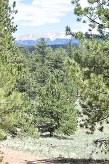 Filename=DSC_5823.JPG
Filesize=20166KiB
Dimensions=4912x7360
Date added=Sep 19, 2019 DSC_5823.JPG