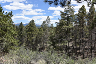 Filename=DSC_5827.JPG
Filesize=27883KiB
Dimensions=7360x4912
Date added=Sep 19, 2019 DSC_5827.JPG