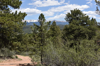 Filename=DSC_5829.JPG
Filesize=26769KiB
Dimensions=7360x4912
Date added=Sep 19, 2019 DSC_5829.JPG