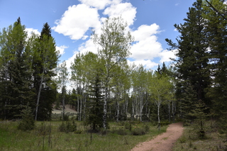 Filename=DSC_5839.JPG
Filesize=23691KiB
Dimensions=7360x4912
Date added=Sep 19, 2019 DSC_5839.JPG