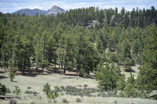 Filename=DSC_5842.JPG
Filesize=24072KiB
Dimensions=7360x4912
Date added=Sep 19, 2019 DSC_5842.JPG