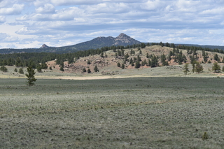 Filename=DSC_5856.JPG
Filesize=20832KiB
Dimensions=7360x4912
Date added=Sep 19, 2019 DSC_5856.JPG