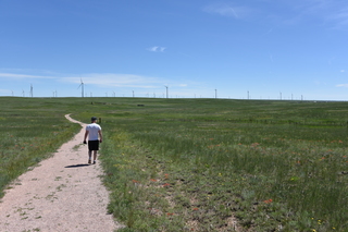 Filename=DSC_5865.JPG
Filesize=21835KiB
Dimensions=7360x4912
Date added=Sep 19, 2019 DSC_5865.JPG