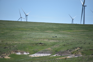 Filename=DSC_5873.JPG
Filesize=16938KiB
Dimensions=7360x4912
Date added=Sep 19, 2019 DSC_5873.JPG