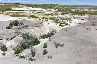 Filename=DSC_5879.JPG
Filesize=26449KiB
Dimensions=7360x4912
Date added=Sep 19, 2019 DSC_5879.JPG