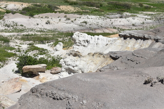 Filename=DSC_5880.JPG
Filesize=25870KiB
Dimensions=7360x4912
Date added=Sep 19, 2019 DSC_5880.JPG