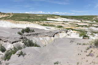 Filename=DSC_5885.JPG
Filesize=24123KiB
Dimensions=7360x4912
Date added=Sep 19, 2019 DSC_5885.JPG