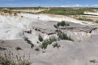 Filename=DSC_5888.JPG
Filesize=25868KiB
Dimensions=7360x4912
Date added=Sep 19, 2019 DSC_5888.JPG