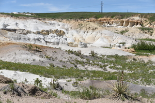 Filename=DSC_5895.JPG
Filesize=25218KiB
Dimensions=7360x4912
Date added=Sep 19, 2019 DSC_5895.JPG