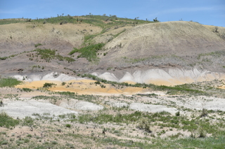 Filename=DSC_5911.JPG
Filesize=26637KiB
Dimensions=7360x4912
Date added=Sep 19, 2019 DSC_5911.JPG