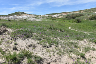 Filename=DSC_5912.JPG
Filesize=27503KiB
Dimensions=7360x4912
Date added=Sep 19, 2019 DSC_5912.JPG