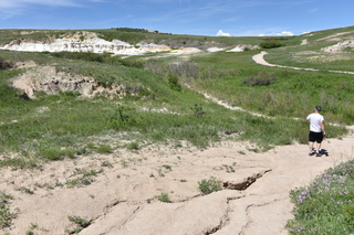 Filename=DSC_5913.JPG
Filesize=26945KiB
Dimensions=7360x4912
Date added=Sep 19, 2019 DSC_5913.JPG