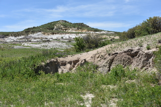 Filename=DSC_5915.JPG
Filesize=22834KiB
Dimensions=7360x4912
Date added=Sep 19, 2019 DSC_5915.JPG