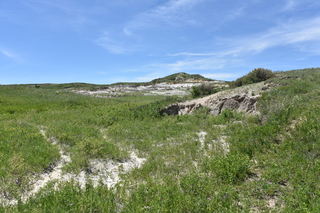 Filename=DSC_5916.JPG
Filesize=25371KiB
Dimensions=7360x4912
Date added=Sep 19, 2019 DSC_5916.JPG