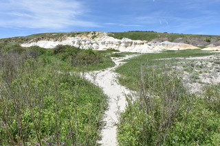 Filename=DSC_5920.JPG
Filesize=26864KiB
Dimensions=7360x4912
Date added=Sep 19, 2019 DSC_5920.JPG