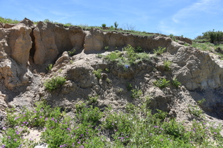 Filename=DSC_5924.JPG
Filesize=26641KiB
Dimensions=7360x4912
Date added=Sep 19, 2019 DSC_5924.JPG