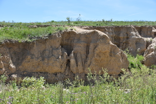 Filename=DSC_5927.JPG
Filesize=24313KiB
Dimensions=7360x4912
Date added=Sep 19, 2019 DSC_5927.JPG