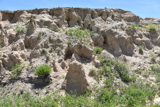 Filename=DSC_5929.JPG
Filesize=28116KiB
Dimensions=7360x4912
Date added=Sep 19, 2019 DSC_5929.JPG