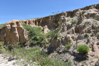 Filename=DSC_5930.JPG
Filesize=26692KiB
Dimensions=7360x4912
Date added=Sep 19, 2019 DSC_5930.JPG