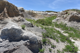 Filename=DSC_5931.JPG
Filesize=26031KiB
Dimensions=7360x4912
Date added=Sep 19, 2019 DSC_5931.JPG