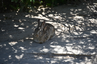 Filename=DSC_5936.JPG
Filesize=17041KiB
Dimensions=7360x4912
Date added=Sep 19, 2019 DSC_5936.JPG