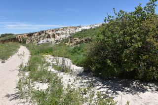 Filename=DSC_5938.JPG
Filesize=25656KiB
Dimensions=7360x4912
Date added=Sep 19, 2019 DSC_5938.JPG