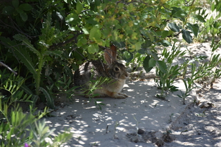 Filename=DSC_5939.JPG
Filesize=17968KiB
Dimensions=7360x4912
Date added=Sep 19, 2019 DSC_5939.JPG