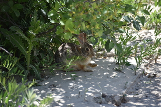 Filename=DSC_5940.JPG
Filesize=18049KiB
Dimensions=7360x4912
Date added=Sep 19, 2019 DSC_5940.JPG