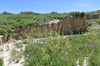 Filename=DSC_5942.JPG
Filesize=28074KiB
Dimensions=7360x4912
Date added=Sep 19, 2019 DSC_5942.JPG