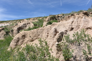 Filename=DSC_5954.JPG
Filesize=27679KiB
Dimensions=7360x4912
Date added=Sep 19, 2019 DSC_5954.JPG