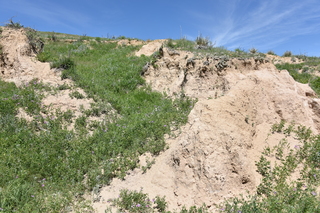 Filename=DSC_5956.JPG
Filesize=28642KiB
Dimensions=7360x4912
Date added=Sep 19, 2019 DSC_5956.JPG