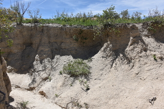 Filename=DSC_5962.JPG
Filesize=27373KiB
Dimensions=7360x4912
Date added=Sep 19, 2019 DSC_5962.JPG