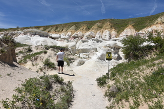 Filename=DSC_5963.JPG
Filesize=25292KiB
Dimensions=7360x4912
Date added=Sep 19, 2019 DSC_5963.JPG