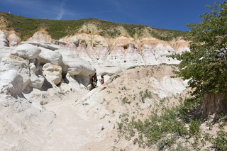 Filename=DSC_5967.JPG
Filesize=24663KiB
Dimensions=7360x4912
Date added=Sep 19, 2019 DSC_5967.JPG