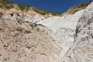 Filename=DSC_5981.JPG
Filesize=25378KiB
Dimensions=7360x4912
Date added=Sep 19, 2019 DSC_5981.JPG