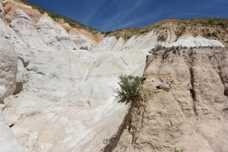 Filename=DSC_5987.JPG
Filesize=24632KiB
Dimensions=7360x4912
Date added=Sep 19, 2019 DSC_5987.JPG