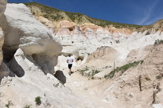 Filename=DSC_5993.JPG
Filesize=24088KiB
Dimensions=7360x4912
Date added=Sep 19, 2019 DSC_5993.JPG