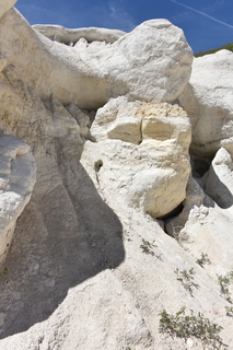 Filename=DSC_5995.JPG
Filesize=21370KiB
Dimensions=4912x7360
Date added=Sep 19, 2019 DSC_5995.JPG