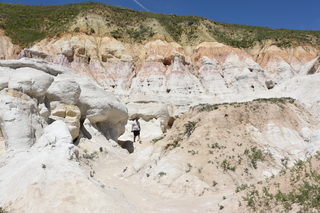 Filename=DSC_5996.JPG
Filesize=24502KiB
Dimensions=7360x4912
Date added=Sep 19, 2019 DSC_5996.JPG