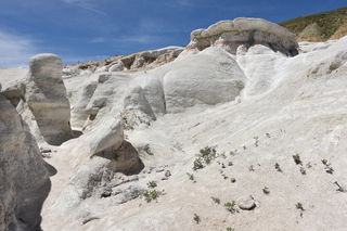 Filename=DSC_5997.JPG
Filesize=24092KiB
Dimensions=7360x4912
Date added=Sep 19, 2019 DSC_5997.JPG