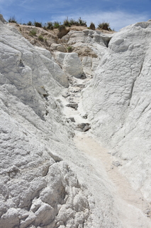 Filename=DSC_6003.JPG
Filesize=20751KiB
Dimensions=4912x7360
Date added=Sep 19, 2019 DSC_6003.JPG