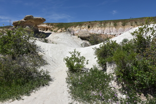 Filename=DSC_6010.JPG
Filesize=25796KiB
Dimensions=7360x4912
Date added=Sep 19, 2019 DSC_6010.JPG