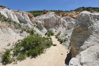 Filename=DSC_6014.JPG
Filesize=25490KiB
Dimensions=7360x4912
Date added=Sep 19, 2019 DSC_6014.JPG