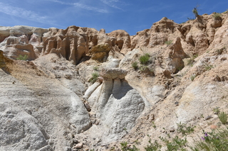 Filename=DSC_6019.JPG
Filesize=28082KiB
Dimensions=7360x4912
Date added=Sep 19, 2019 DSC_6019.JPG