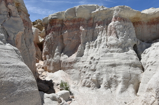 Filename=DSC_6023.JPG
Filesize=25078KiB
Dimensions=7360x4912
Date added=Sep 19, 2019 DSC_6023.JPG